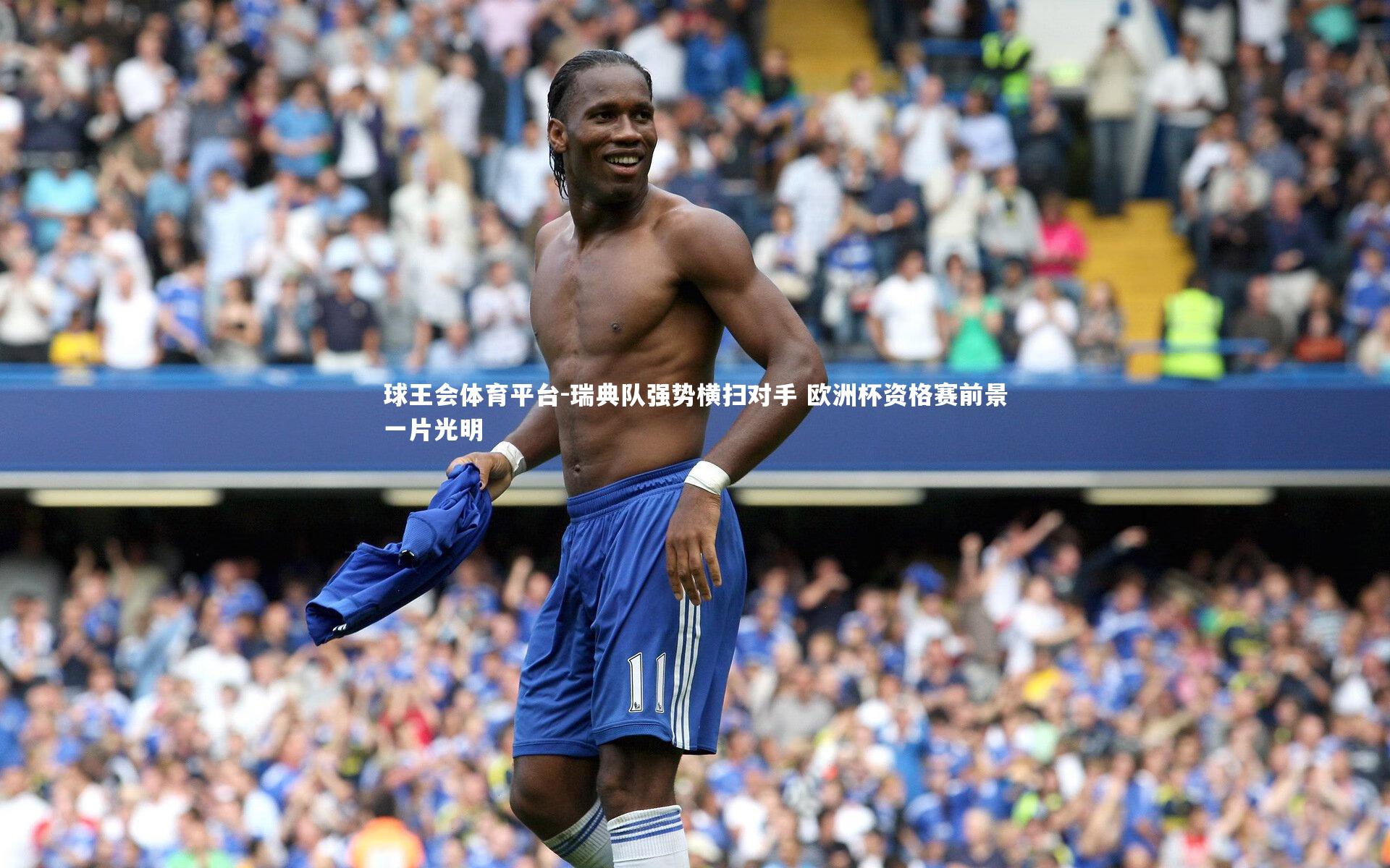球王会体育平台-瑞典队强势横扫对手 欧洲杯资格赛前景一片光明